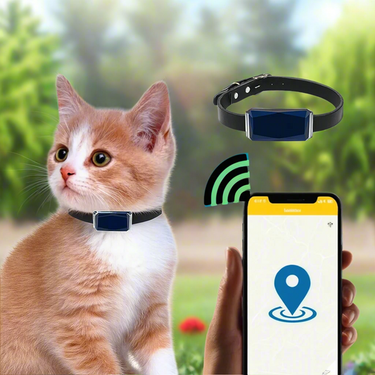 GPS Cat Collar with Real-Time Tracking – Lightweight Cat Tracker Collar Compatible with Mobile App
